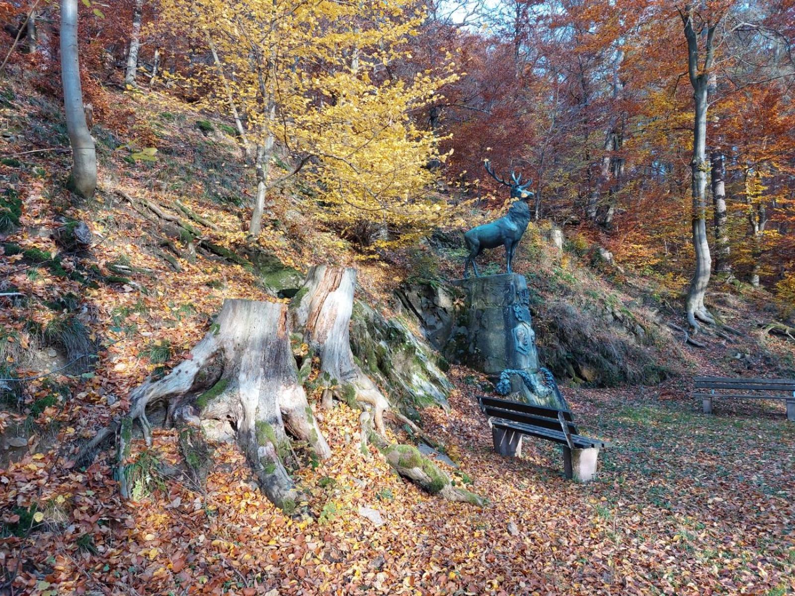 Haus Anastasia Stolberg i. Harz Exterior foto